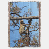Leopard in einem Baum in Afrika Decke (Vorderseite Vertikal)