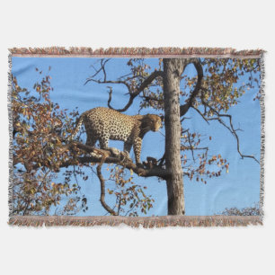 Leopard in einem Baum in Afrika Decke