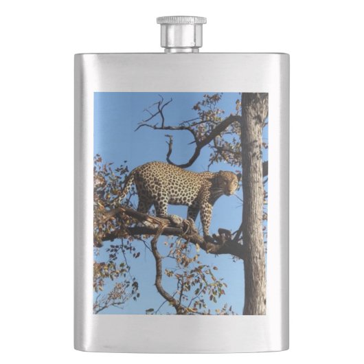 Leopard in einem Baum in Afrika Flachmann (Vorderseite)