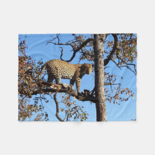Leopard in einem Baum in Afrika Fleecedecke