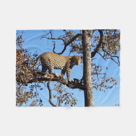 Leopard in einem Baum in Afrika Fleecedecke (Vorderseite (Horizontal))