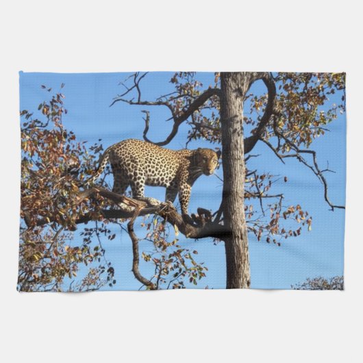 Leopard in einem Baum in Afrika Geschirrtuch (Horizontal)