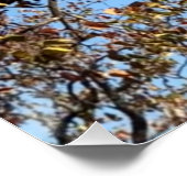 Leopard in einem Baum in Afrika Poster (Ecke)