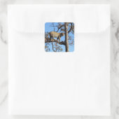 Leopard in einem Baum in Afrika Quadratischer Aufkleber (Tasche)
