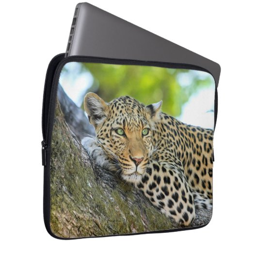 Leopard in einem Baum Laptopschutzhülle (Vorne Rechts)