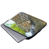 Leopard in einem Baum Laptopschutzhülle (Vorne Knopf)