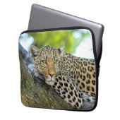 Leopard in einem Baum Laptopschutzhülle (Vorderseite Links)