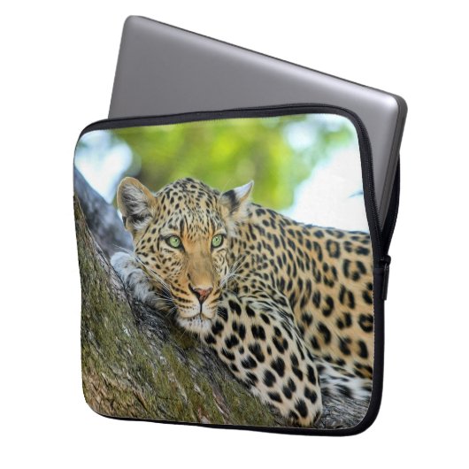 Leopard in einem Baum Laptopschutzhülle (Vorderseite Links)