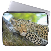 Leopard in einem Baum Laptopschutzhülle (Vorderseite)