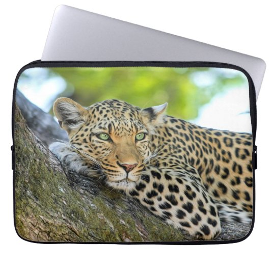 Leopard in einem Baum Laptopschutzhülle (Vorderseite)