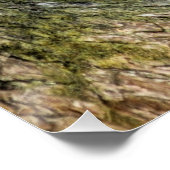 Leopard in einem Baum Poster (Ecke)