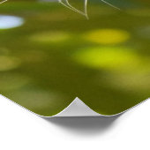 Leopard in einem Baum Poster (Ecke)