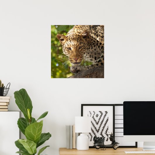 Leopard in einem Baum Poster (Heimbüro)