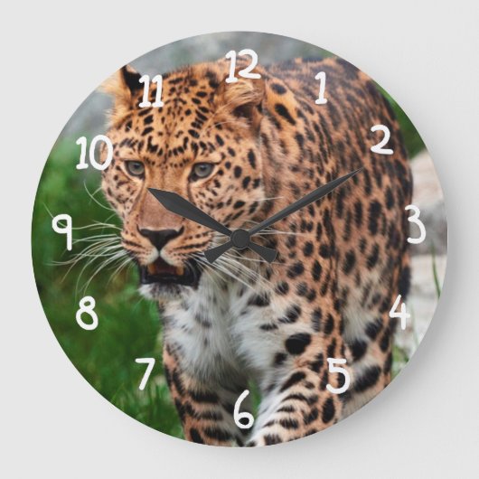 Leopard in freier Wildbahn Große Wanduhr (Vorderseite)