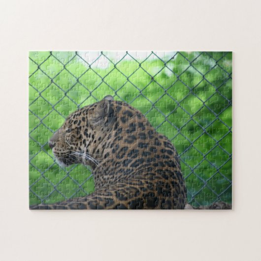 Leopard in Gefangenschaft Puzzle (Horizontal)