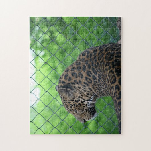 Leopard in Gefangenschaft Puzzle (Vertikal)