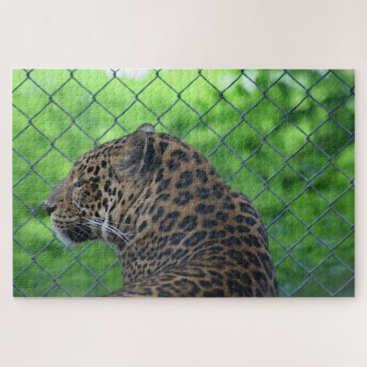 Leopard in Käfig Puzzle (Horizontal)