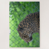 Leopard in Käfig Puzzle (Vertikal)