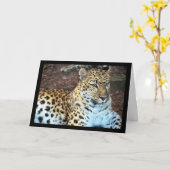 Leopard in Ruhe Karte (Gelbe Blume)