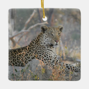 LEOPARD IN RUHE KERAMIKORNAMENT