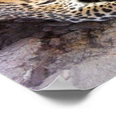 Leopard in Ruhe Poster (Ecke)