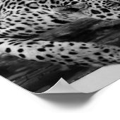 Leopard in Schwarz und Weiß Poster (Ecke)
