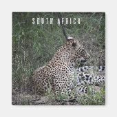 Leopard in Südafrika Magnet (Vorne)