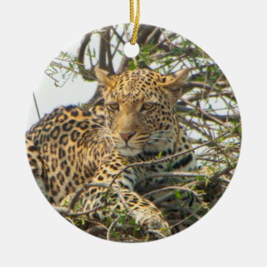 Leopard in Tree Keramik Ornament (Vorne)