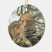 Leopard in Tree Keramik Ornament (Links)