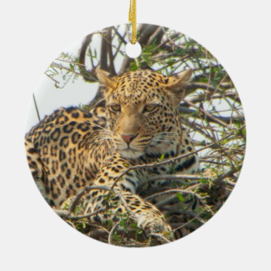 Leopard in Tree Keramik Ornament (Hinten)