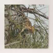 Leopard in Tree Puzzle (Horizontal)