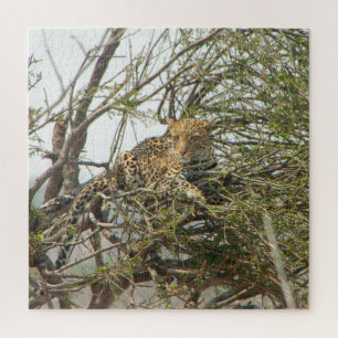 Leopard in Tree Puzzle