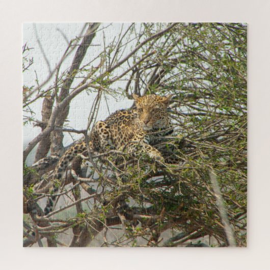 Leopard in Tree Puzzle (Vertikal)