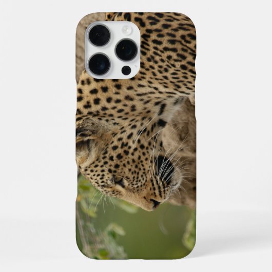 Leopard iPhone hülle (Rückseite)