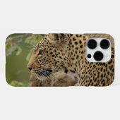 Leopard iPhone hülle (Rückseite (Horizontal))