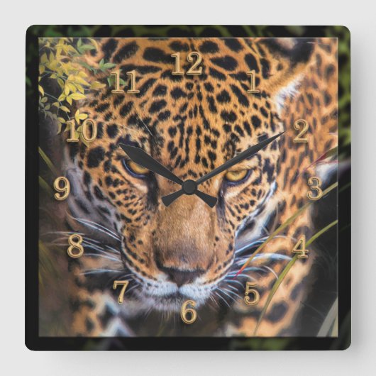 LEOPARD JUNGLE ENCOUNTER QUADRATISCHE WANDUHR (Vorderseite)
