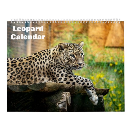 Leopard-Kalender 2025 Kalender (Titelbild)