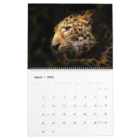 Leopard-Kalender 2025 Kalender (Mär 2026)