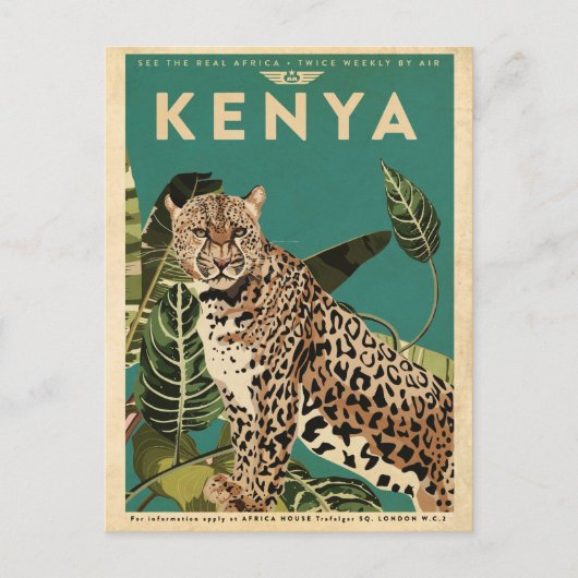 Leopard Kenya Travel Postkarte (Vorderseite)