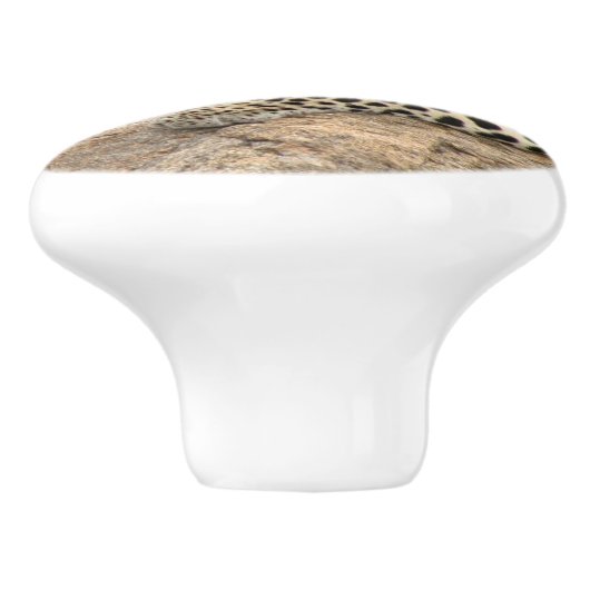 Leopard Keramik Knob, rechts (Pull für Kabinett) Keramikknauf (Seitenansicht)
