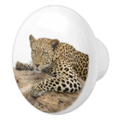 Leopard Keramik Knob, rechts (Pull für Kabinett) Keramikknauf (Rechts)