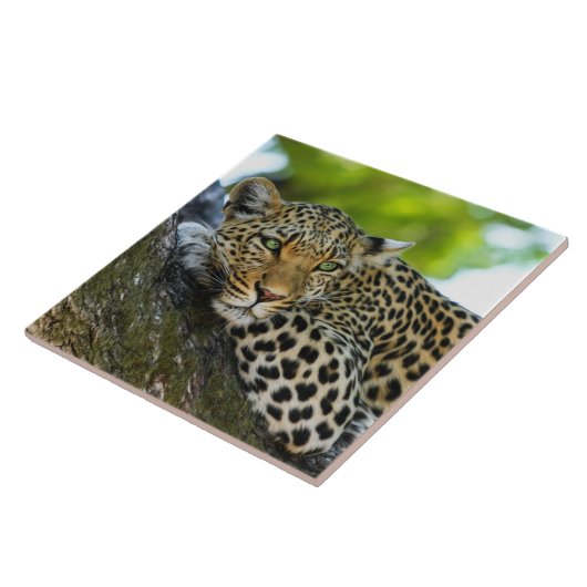 Leopard Keramik Tile Fliese (Seite)