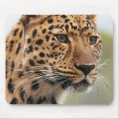 Leopard-Kopfschuss Mousepad (Vorne)