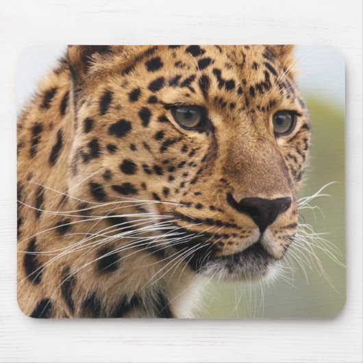 Leopard-Kopfschuss Mousepad (Vorne)
