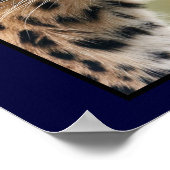 Leopard-Kopfschuss Poster (Ecke)