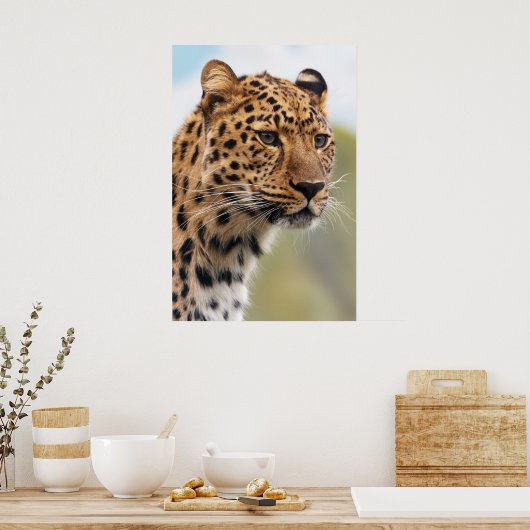 Leopard-Kopfschuss Poster (Küche)