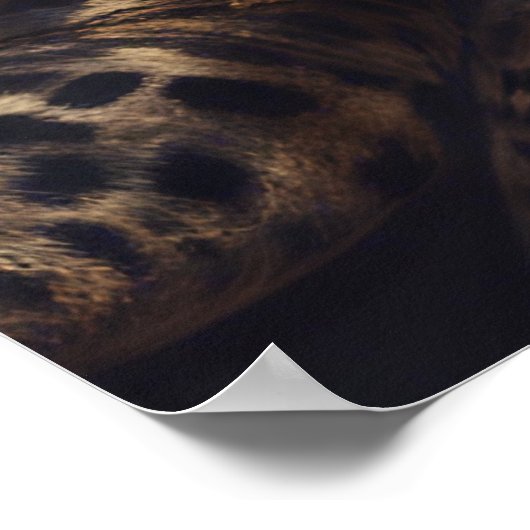 *Leopard Lady-Poster Poster (Ecke)