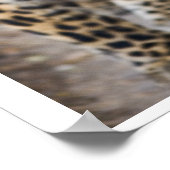 Leopard Laufendes Foto Poster (Ecke)