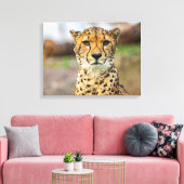Leopard Leinwanddruck (Insitu (Wohnzimmer))