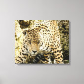 Leopard Leinwanddruck (Vorderseite)